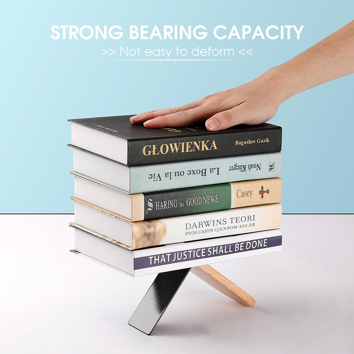 Cottagecore Crow Bookends: Witchy Occult Decor - The Raven