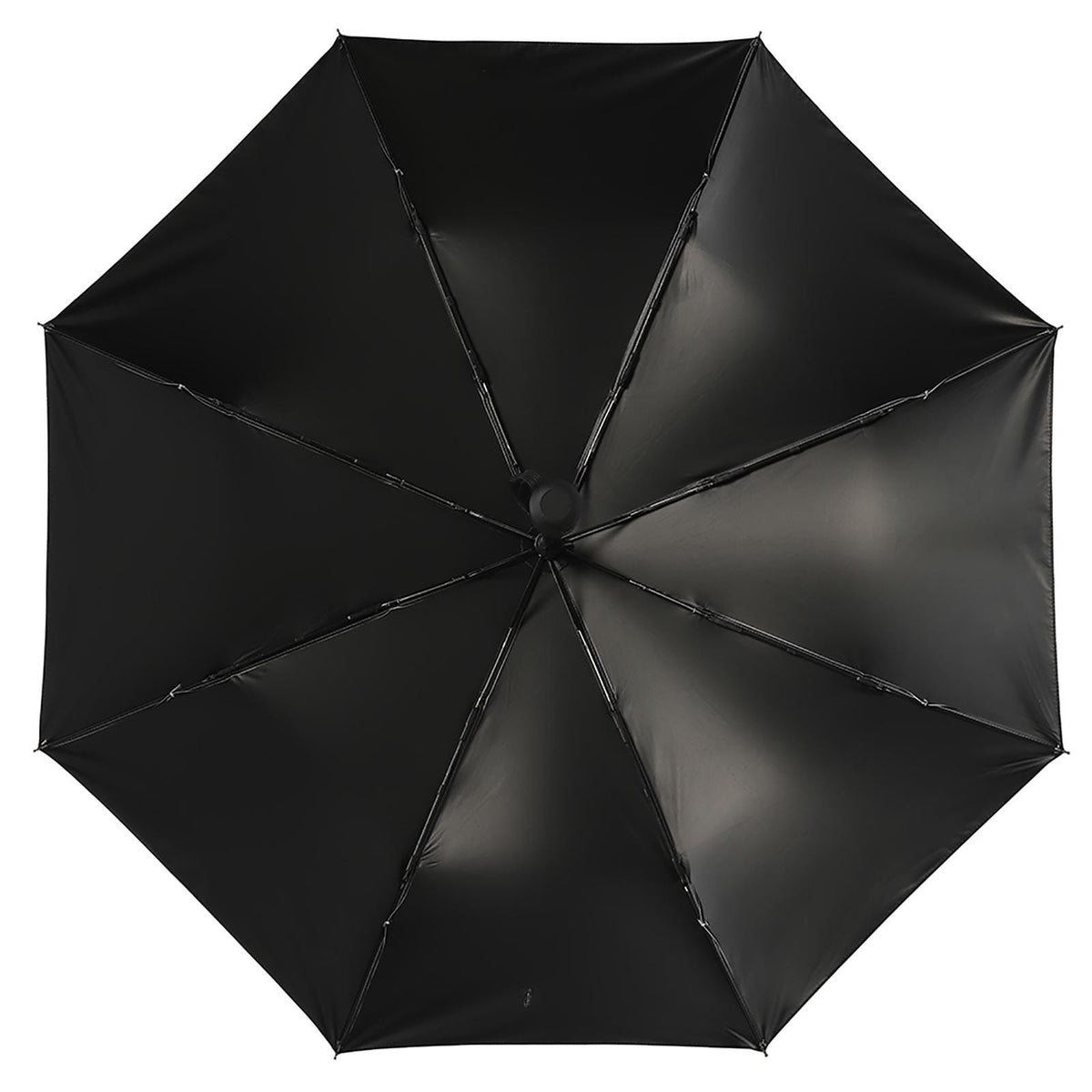 Goth Umbrella for Corporate Goth Lovers Mystic Crow Auto Umbrella Gift Idea for Halloween Gothic Witchcore Raven Parasol Umbrella Academy