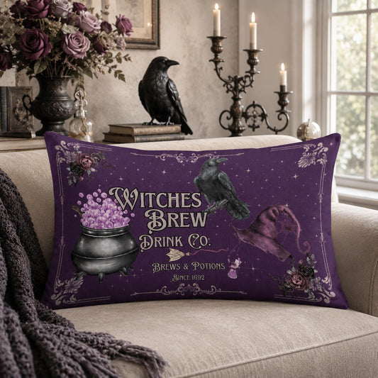 Witches Brew Dark Academia Velvet Pillowcase