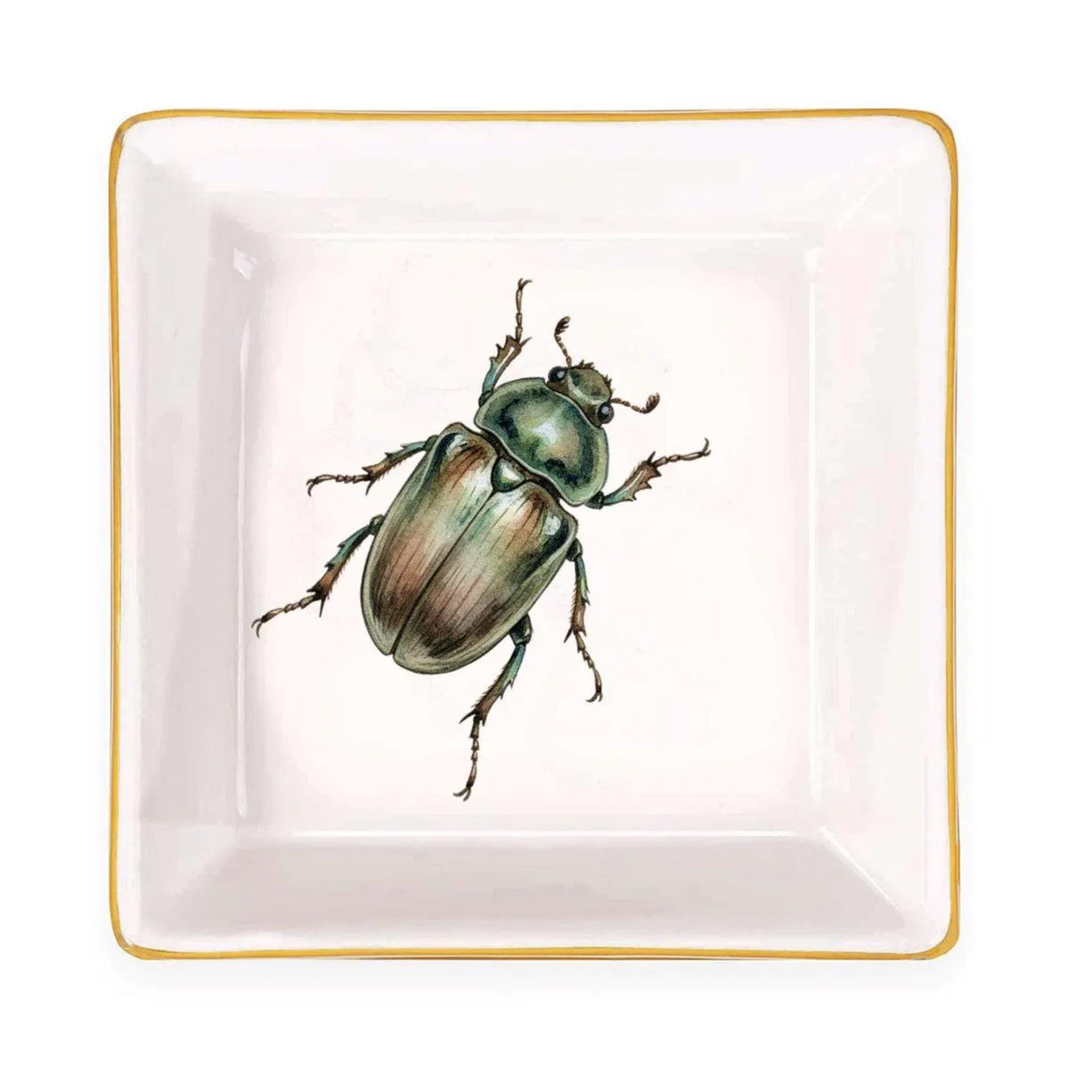 Top view of an empty white square jewelry dish with a green beetle motif and gold rim against a white background.