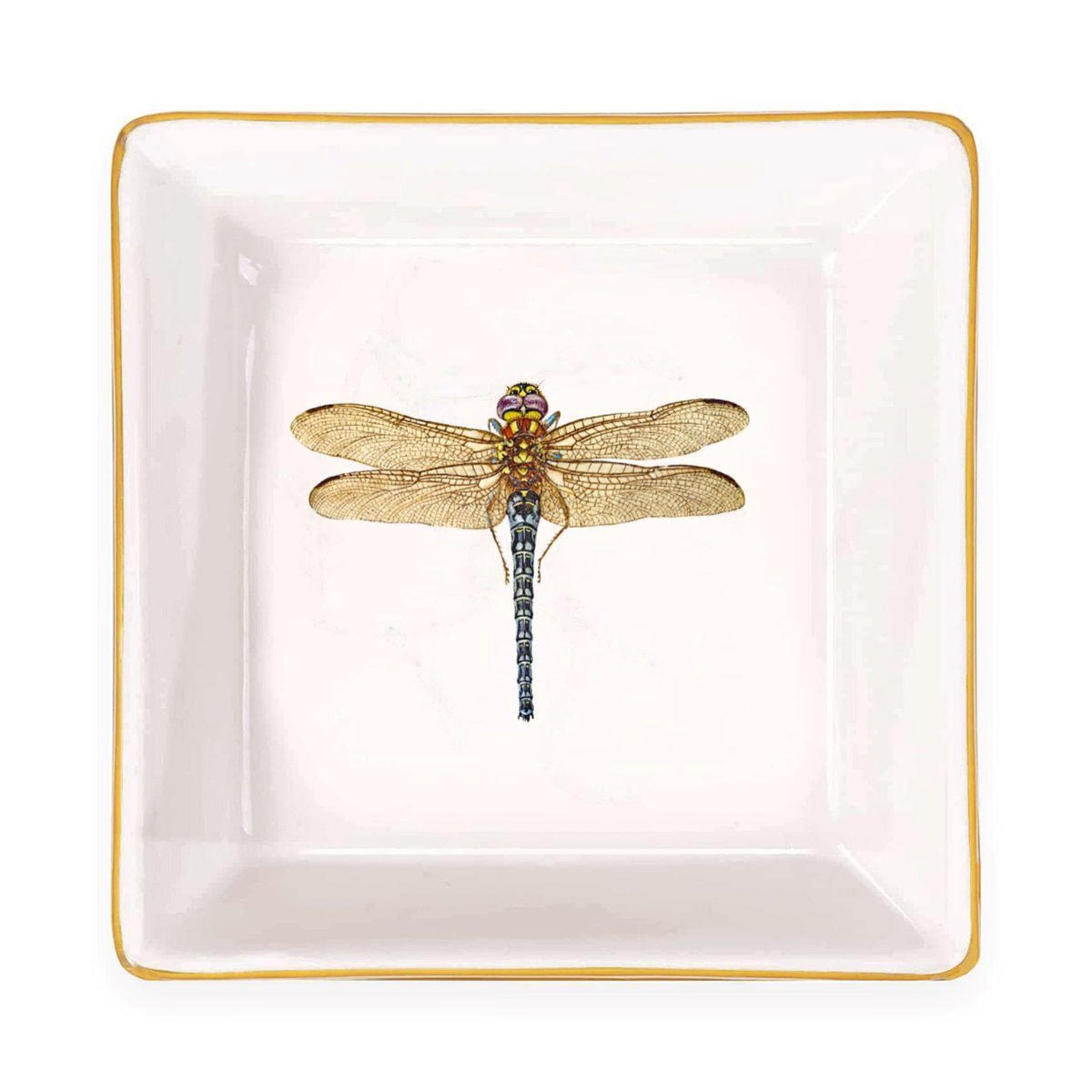 Top view of an empty white square jewelry dish with a dragonfly motif and gold rim against a white background.