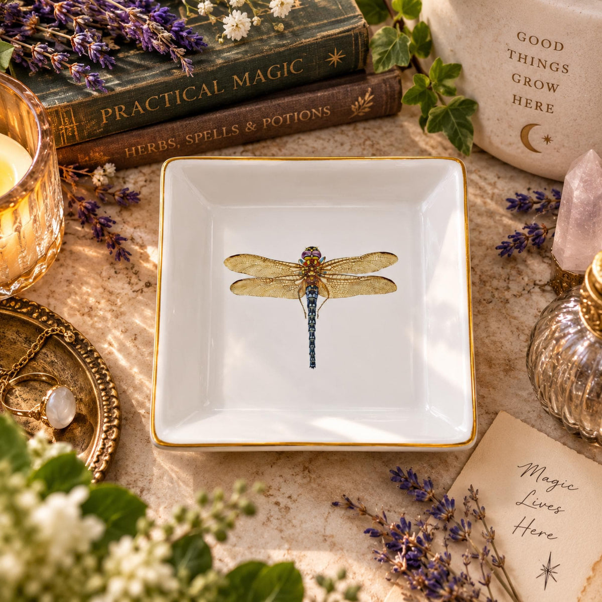 Overhead view of an empty white square dragonfly jewelry dish with gold trim beside crystals and botanical books.